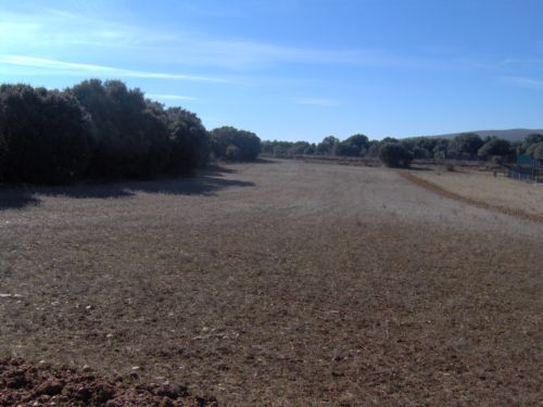 Tierras de labor o rusticas a 2 km de soria