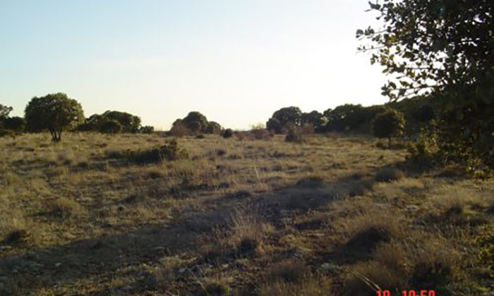 Terreno rustico Golmayo de 1500 m2