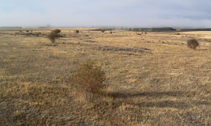 Parcela, terrenos entre Fuentecantos y Buitrago