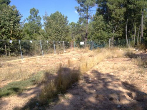 Terreno junta de los ríos