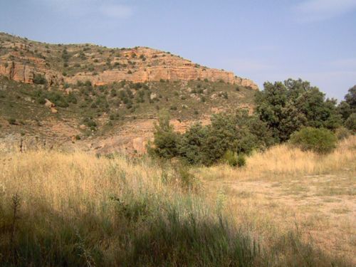 Bodegas, robles, encinas, en 75.000 m2