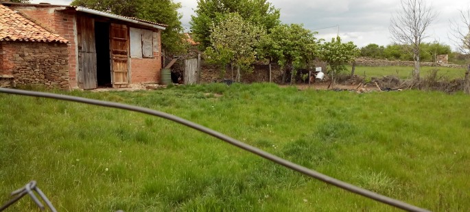 Rebollar, finca de 1200 metros, con casa para reformar