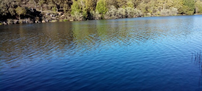 Finca rustica de 150 hectáreas en valonsadero
