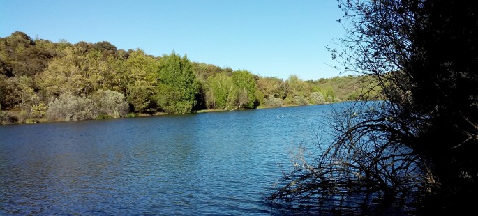 Finca rustica de 150 hectáreas en valonsadero