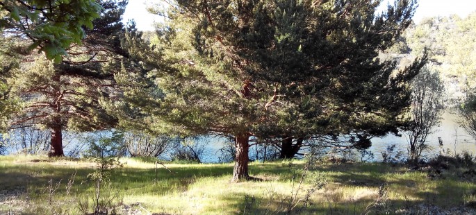 Finca rustica de 150 hectáreas en valonsadero