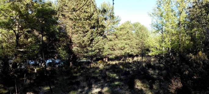 Finca rustica de 150 hectáreas en valonsadero
