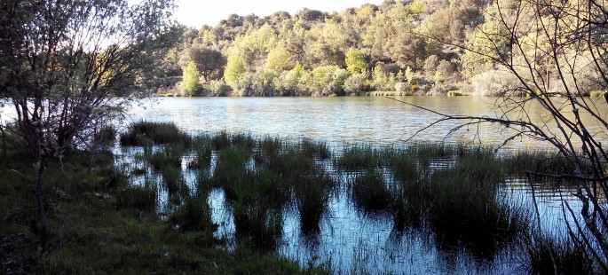 Finca rustica de 150 hectáreas en valonsadero
