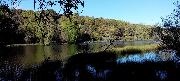 Finca rustica de 150 hectáreas en valonsadero