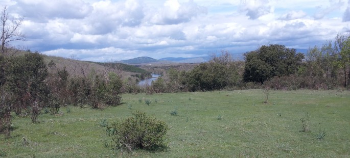 Finca rustica de 150 hectáreas en valonsadero