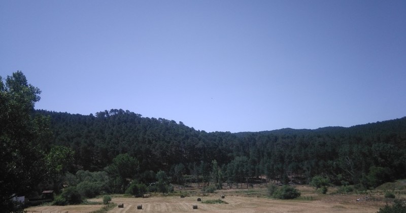 Vistas al pinar en piso de 3 dormitorios en Navaleno