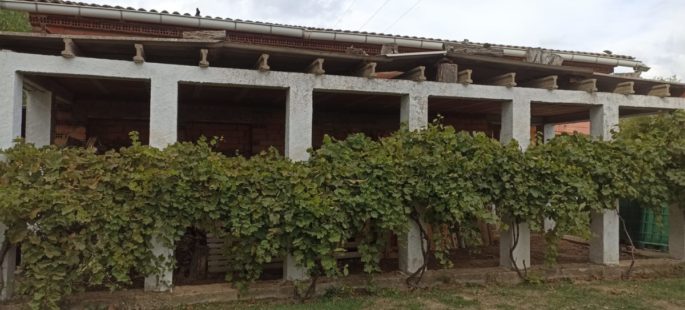 Casa huerto merendero en Matamala