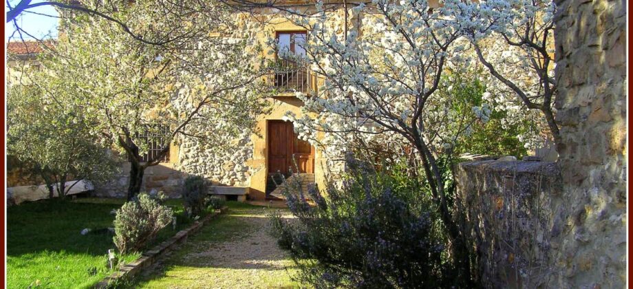 Preciosa finca urbana de 385 m2., a 9 km de Soria