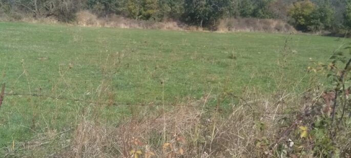 Terreno de 2.300 m2 en Valdeavellano