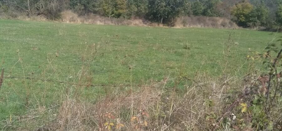Terreno de 2.300 m2 en Valdeavellano
