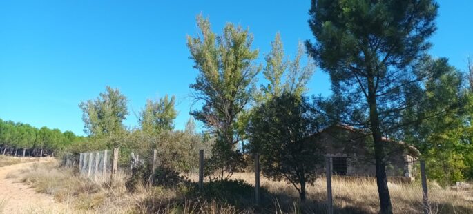 Finca a 18 km de Soria, de 7.300 metros y mucho más